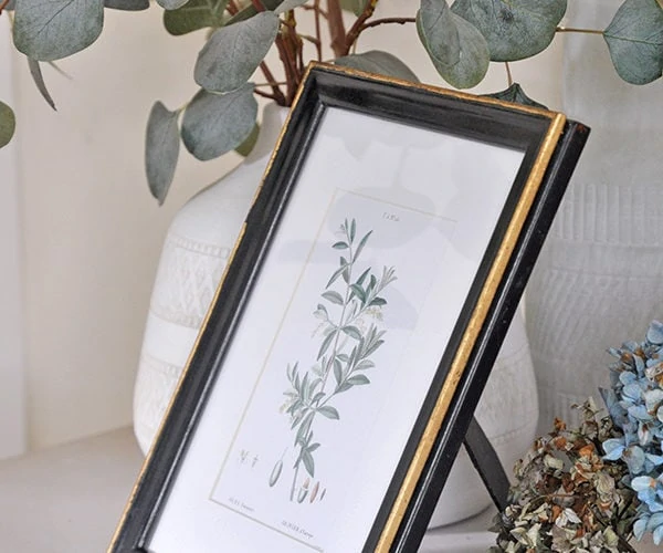 vintage botanicals olive leaves print in black and gold old frame