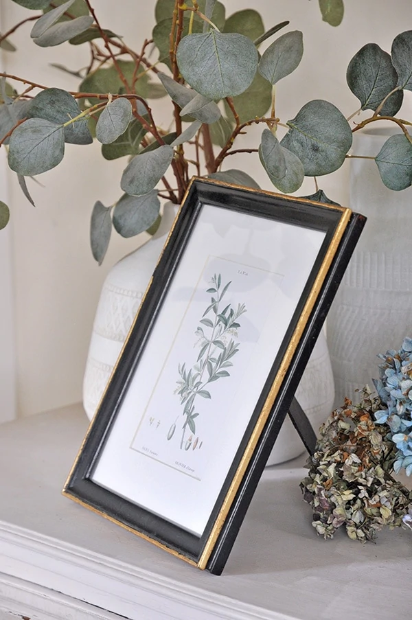 vintage botanicals olive leaves print in black and gold old frame