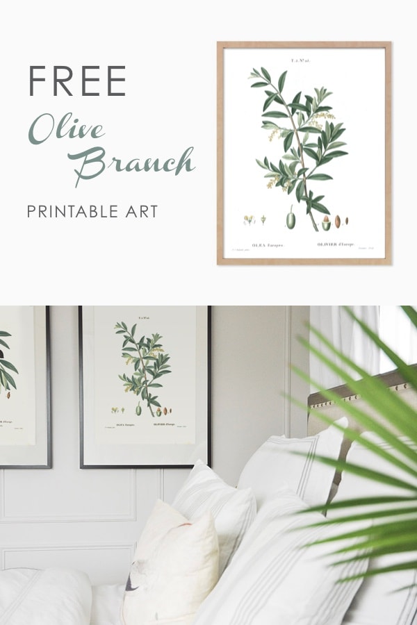 free printable wall art, olive branch vintage botanicals, art print, free downloadable art