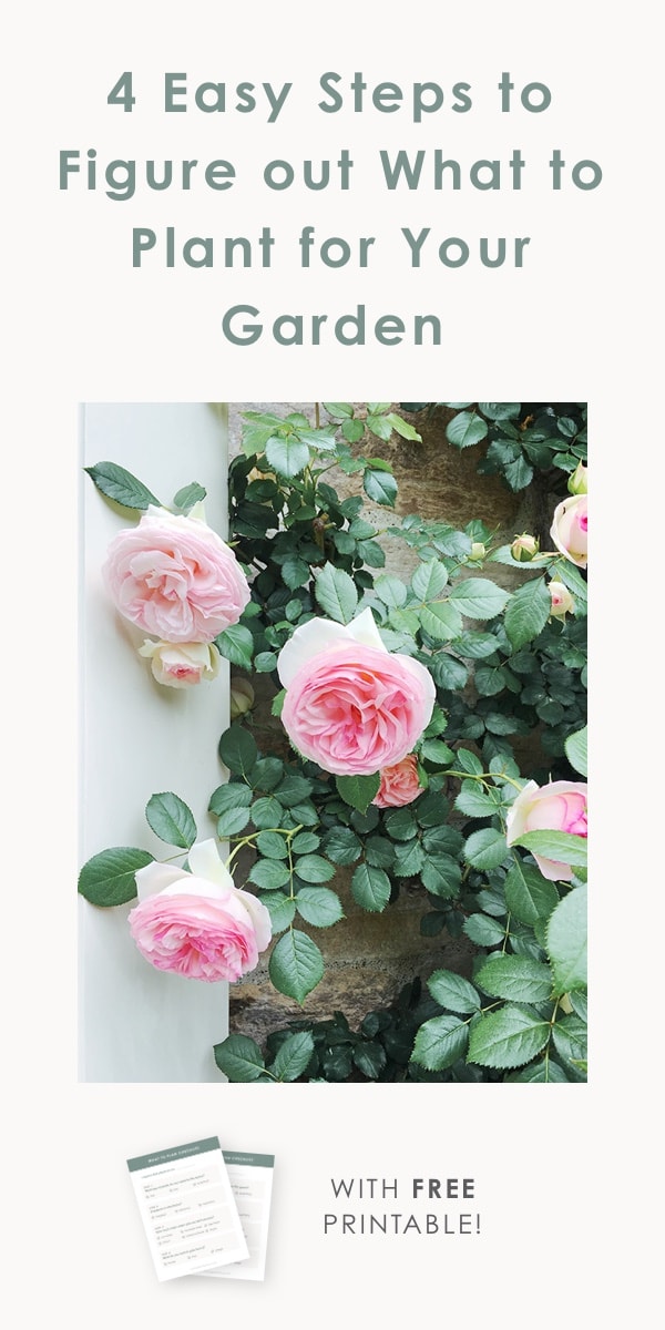 4 Easy Steps to Figure out What to Plant for Your Garden | what to plant garden planning guide, free gardening guide, beginning gardener guide, gardening beginner #gardeningguide #whattoplant