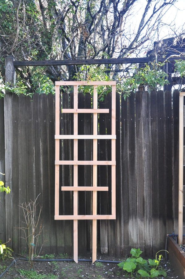 diy garden trellis for less than $5 | garden diy project