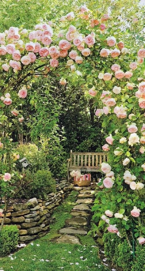 dreamy garden design, garden ideas, backyards. garden space, romantic garden with climbing roses, european garden