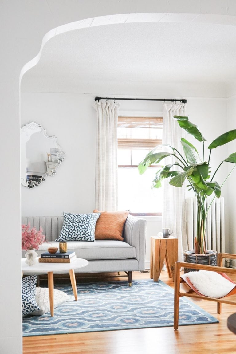 My Indoor Trees Obsession And A Roundup Of The Best Low Light Indoor ...