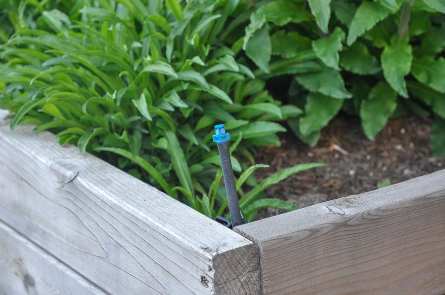 drip irrigation for raised beds in your garden