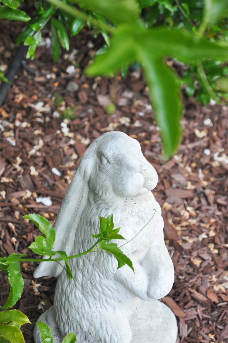 paint rabbit garden statues | outdoor decor refinish, DIY makeover