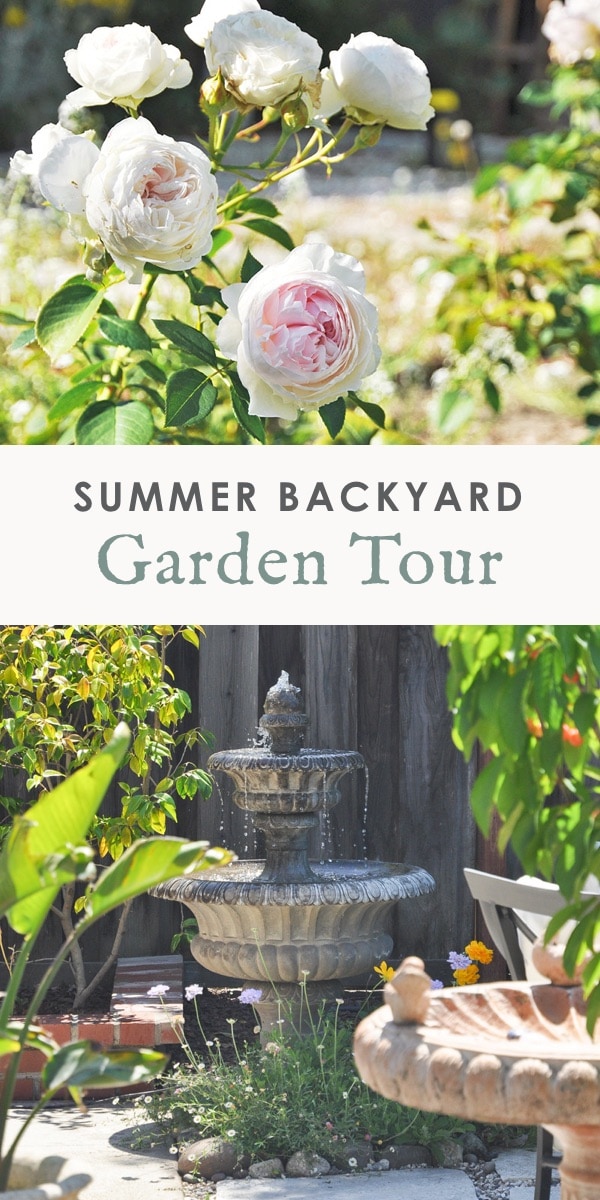 2019 summer garden tour, california landscaping ideas, zone 10, northern california gardening