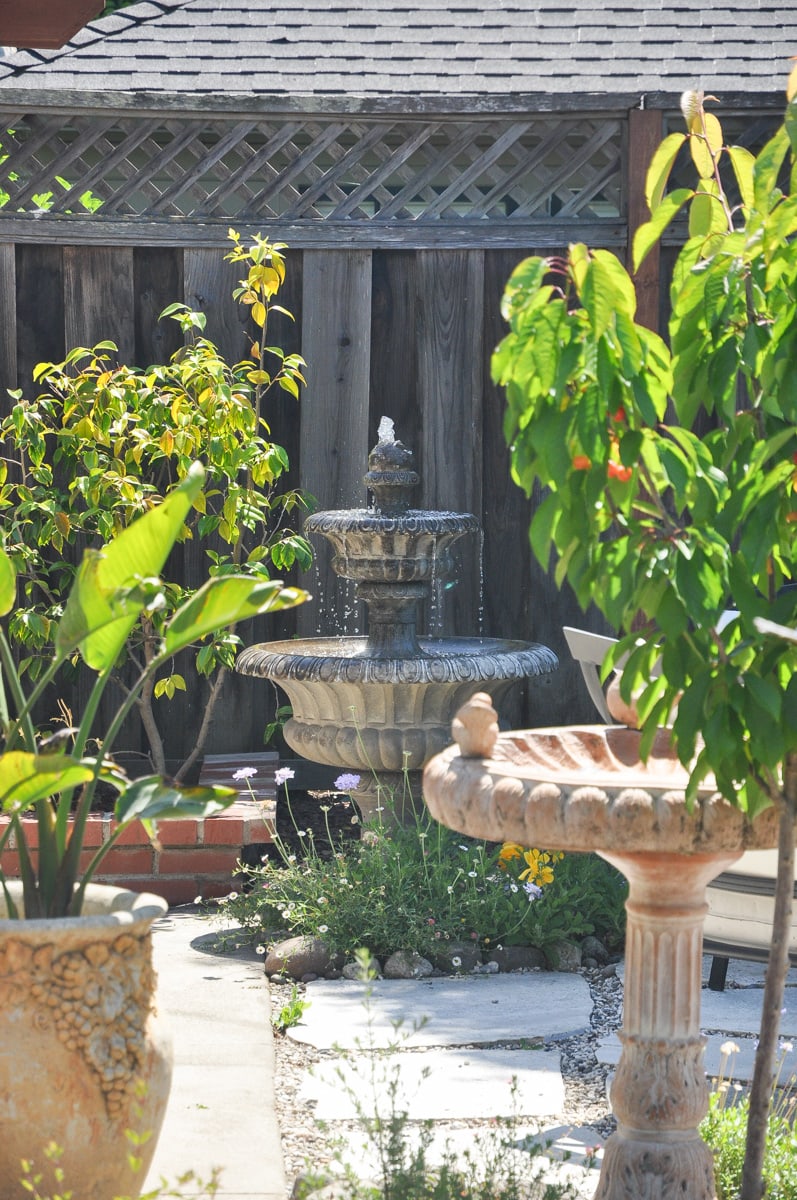 outdoor fountain, bird of paradise, spring summer tour