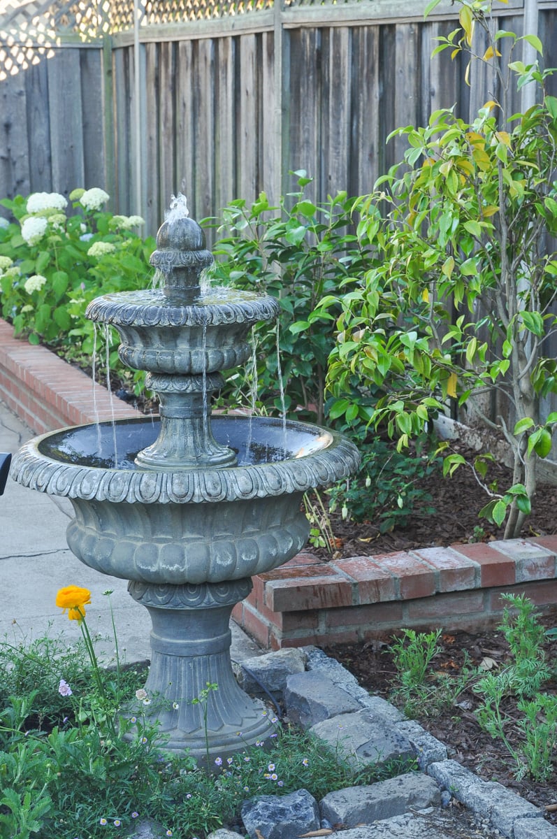 outdoor fountain, bird of paradise, spring summer tour