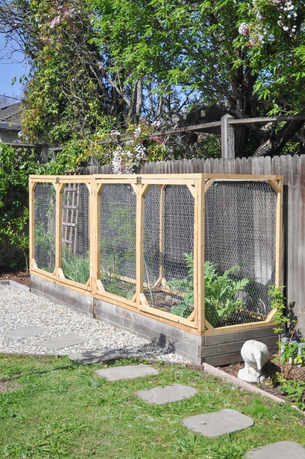 https://hydrangeatreehouse.com/wp-content/uploads/2020/05/diy-garden-cage-11.jpg