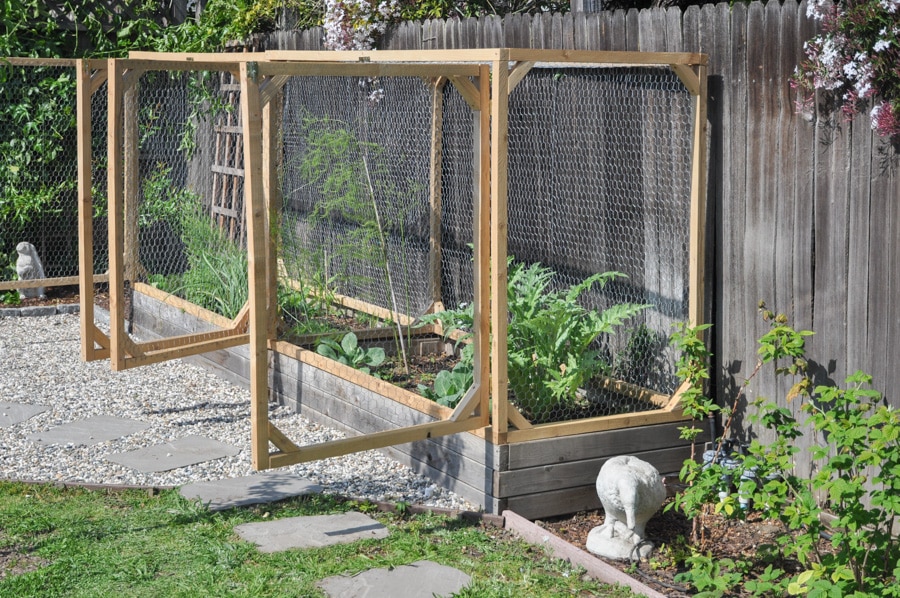 elevated garden bed cover