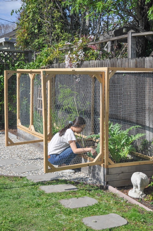 DIY raised garden bed cover, protect vegetable bed from animals and critters