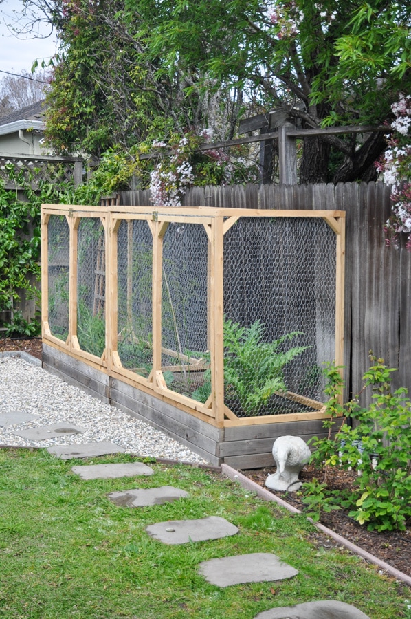 Chicken Wire Mesh Used in Garden as Fence, Raised Bed, Trellis