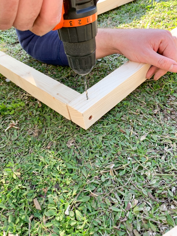 diy project raised bed protective cover photo 