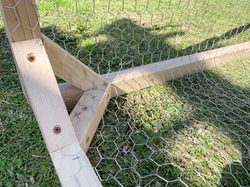 Chicken Wire Mesh Used in Garden as Fence, Raised Bed, Trellis