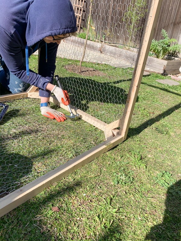 chicken wire cover for raised garden bed DIY photo