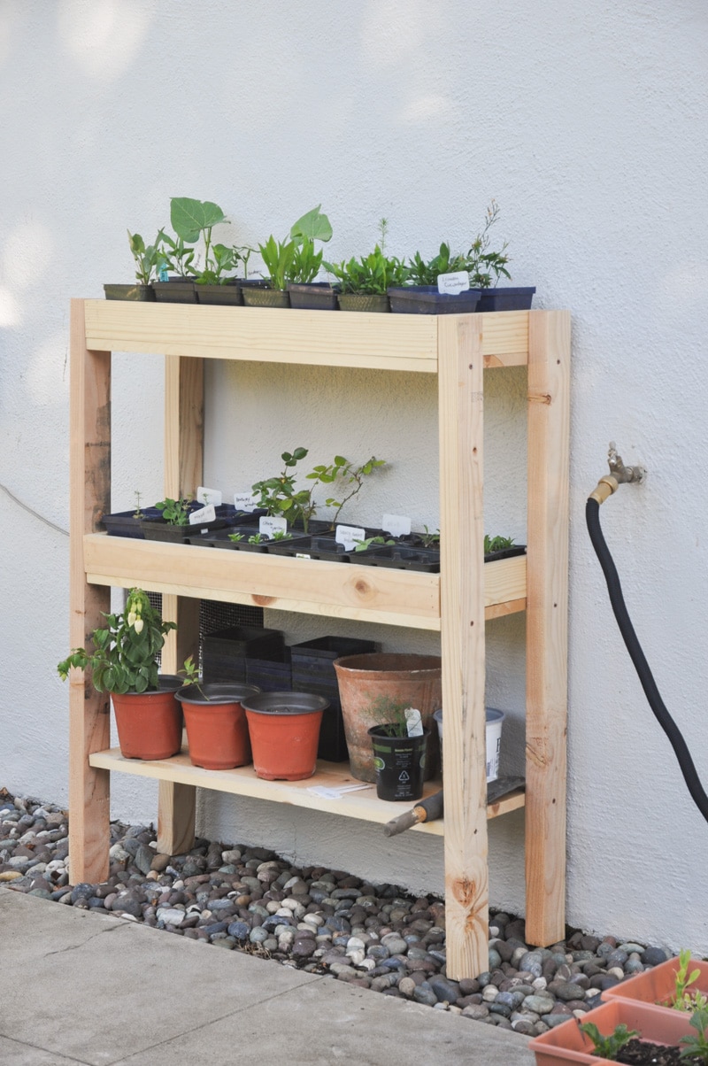 outdoor plant shelf