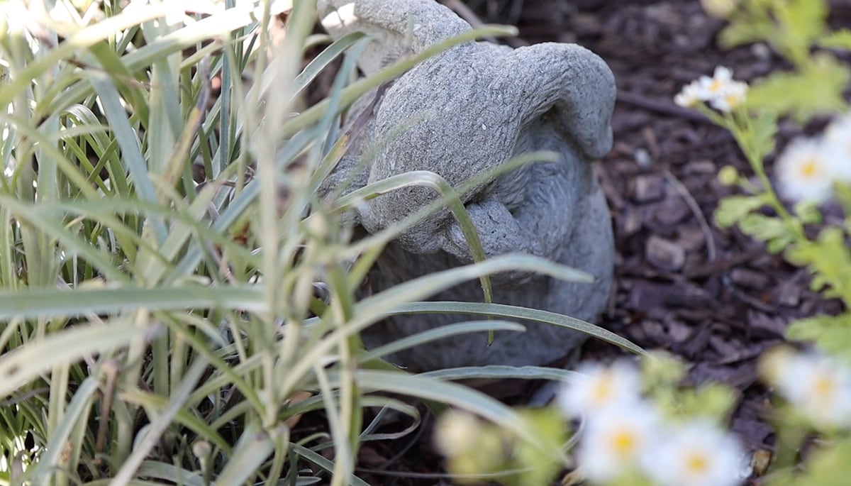 cement rabbit garden statue