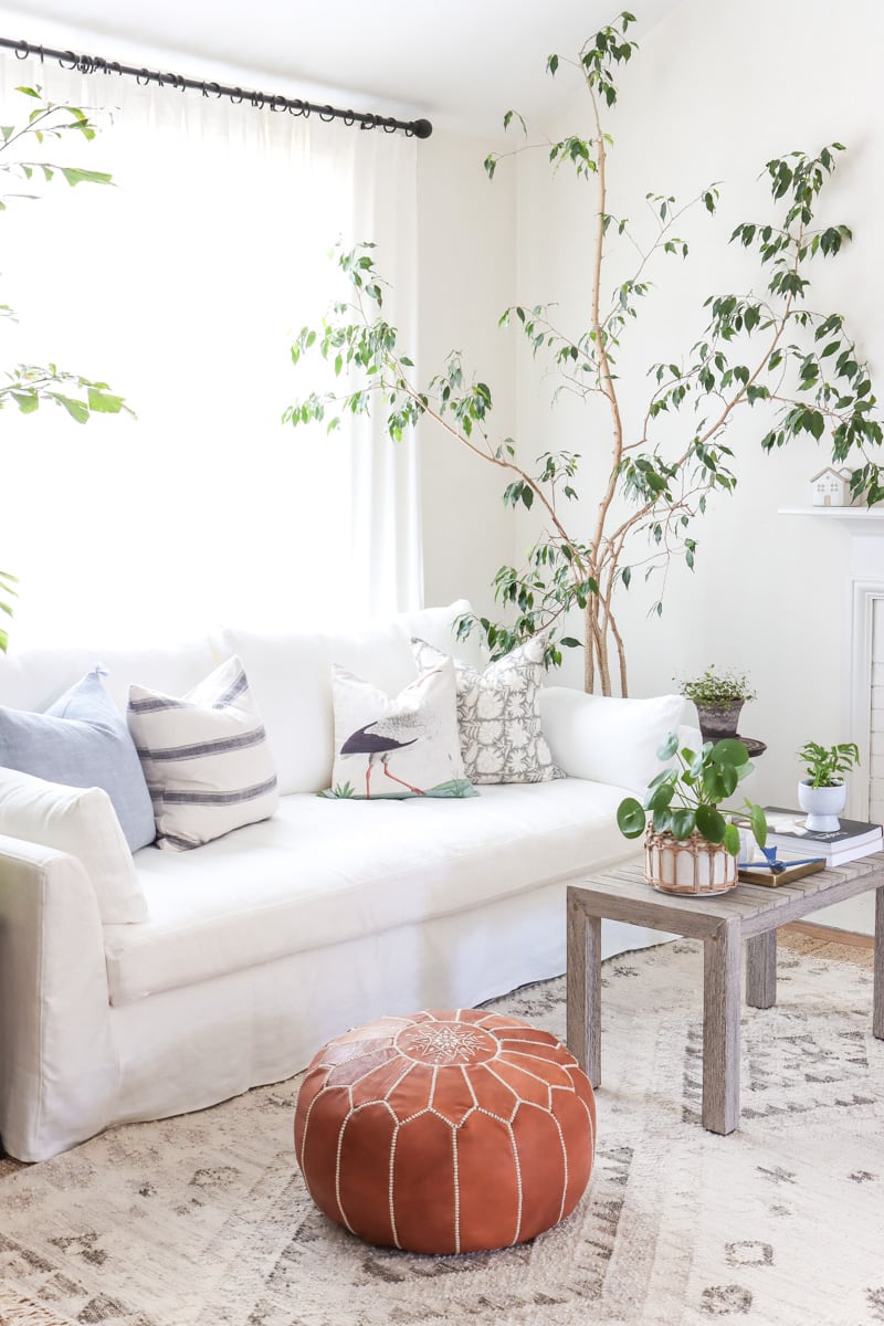 Make my living room look larger and brighter with indoor trees and natural light