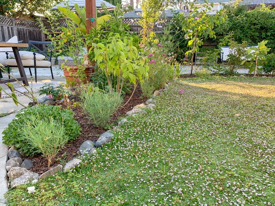 convert grass lawn to flower garden with stone borders