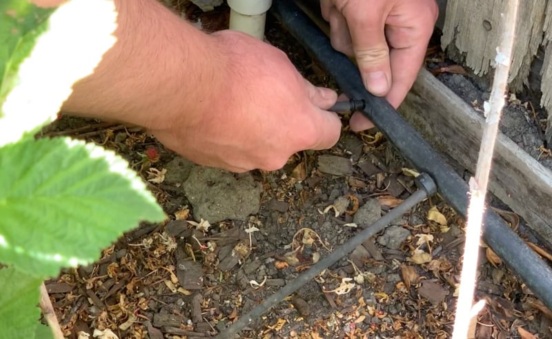 connect drip irrigation for flower bed 