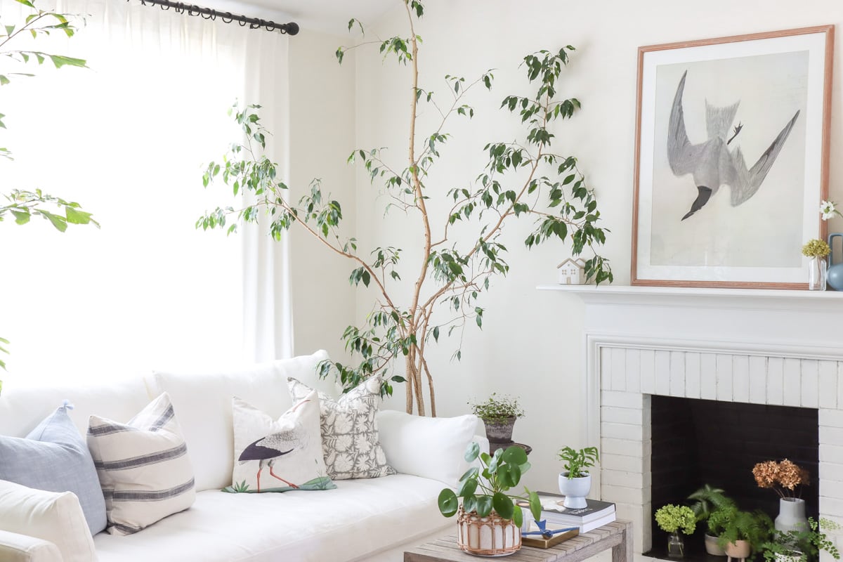 5 Proven Ways To Make A Living Room Look Bigger And Brighter Living Room Refresh Hydrangea Treehouse