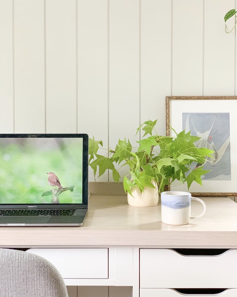 home office guest room combo