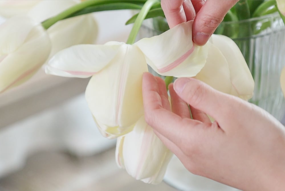 peel petals tulips florists trick