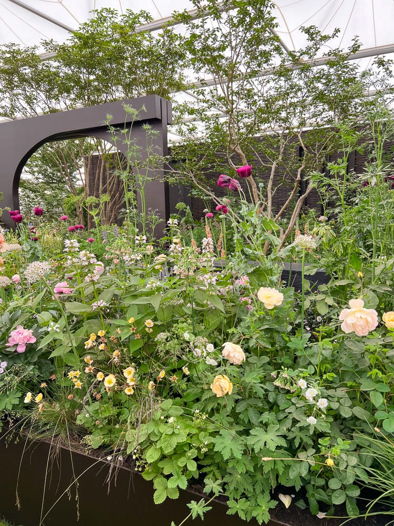 cottage garden, Garden Inspirations from Chelsea Flower Show 2022