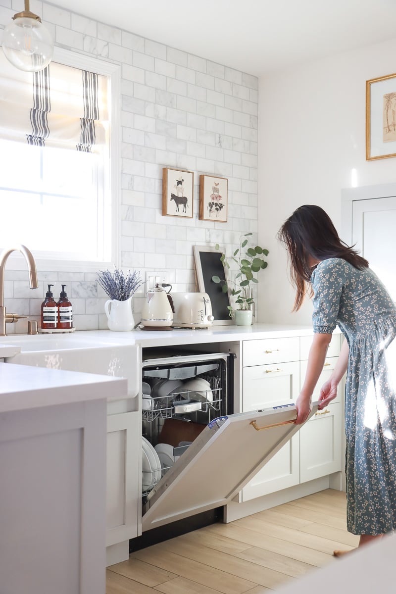 dishwashers with custom door panels