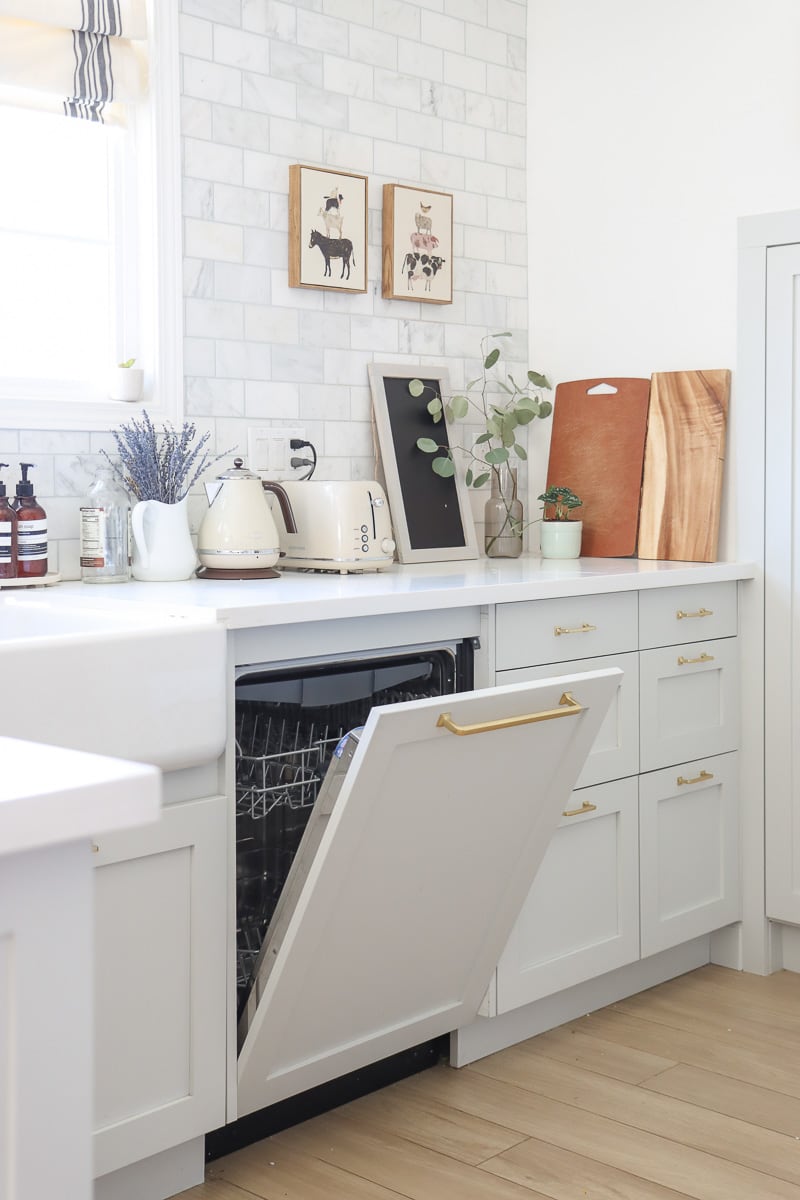 dishwashers with custom door panels