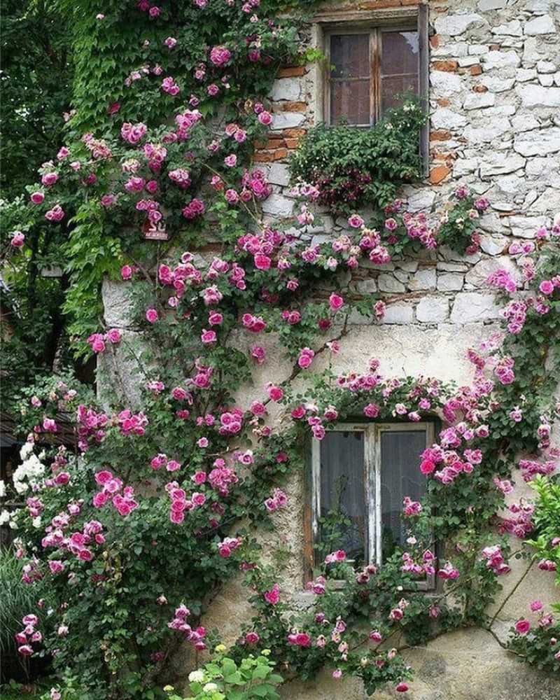 Fairytale English Cottage Garden Ideas, arches, arbors, trellises, climbing plants